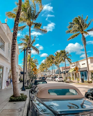 Worth Avenue in Palm Beach lined with palm trees and luxury shops