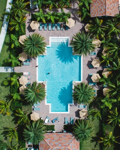 Aerial view of a resort pool surrounded by palm trees