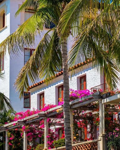 Spanish colonial architecture with bougainvillea and palm trees in Palm Beach